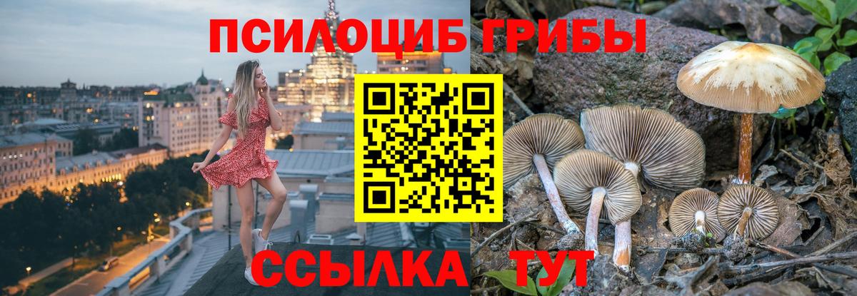 Псилоцибиновые грибы Magic Shrooms Урай